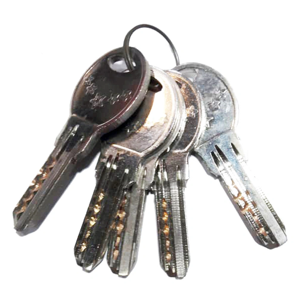 کلید برنجی فابریک قفل برقی پنج ستاره