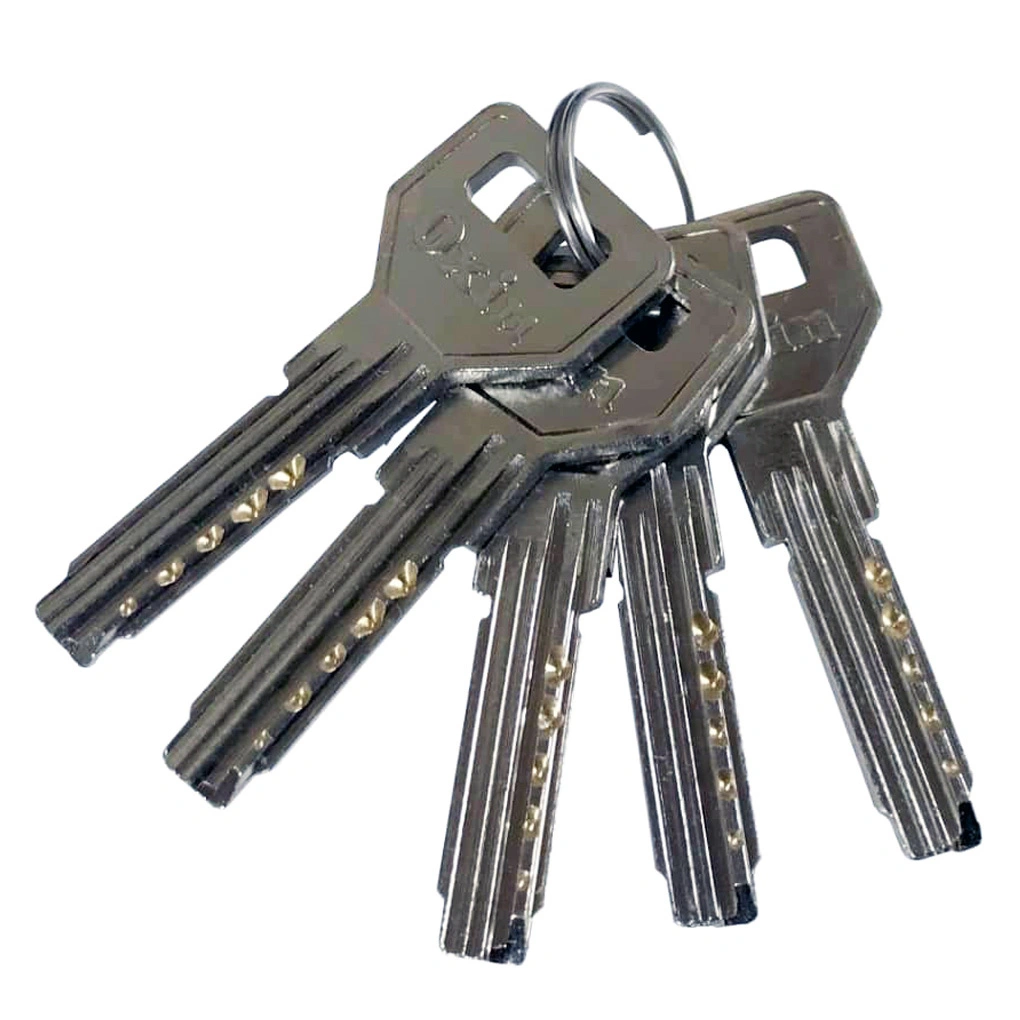 کلید برنجی فابریک قفل برقی اکسیناژ