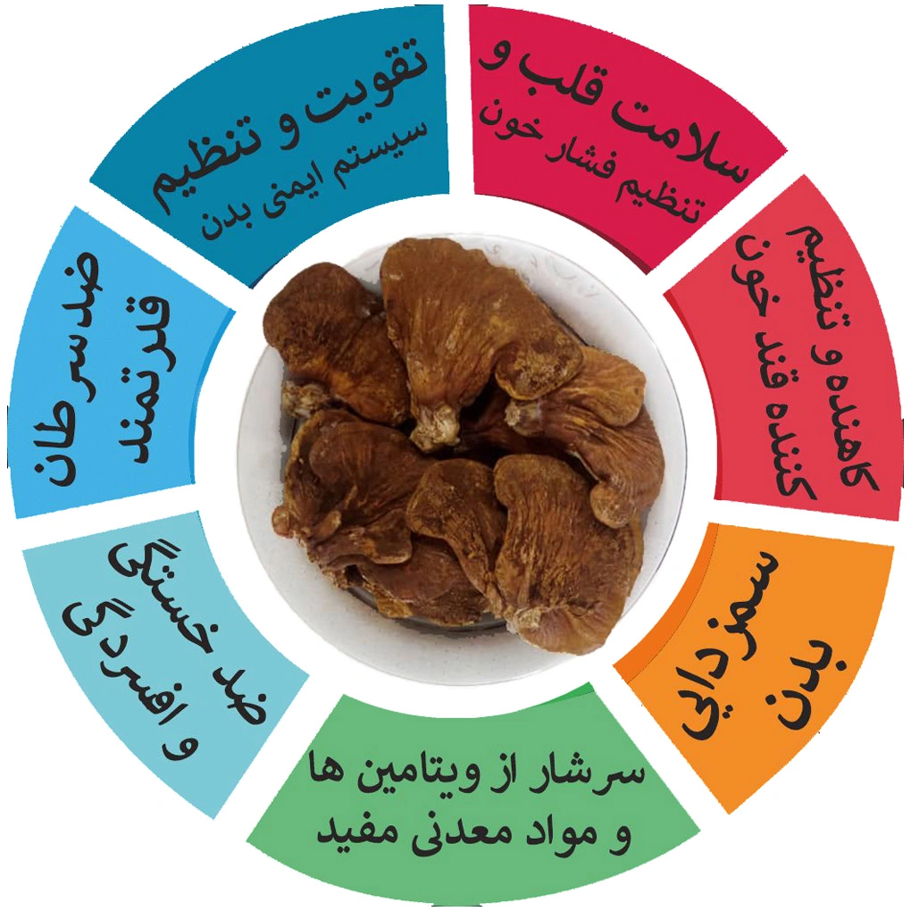 قارچ گانودرما بسته 100 گرمی