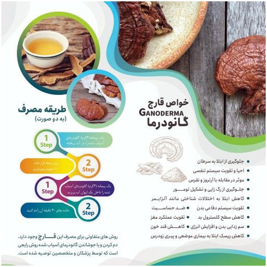 قارچ گانودرما بسته 100 گرمی