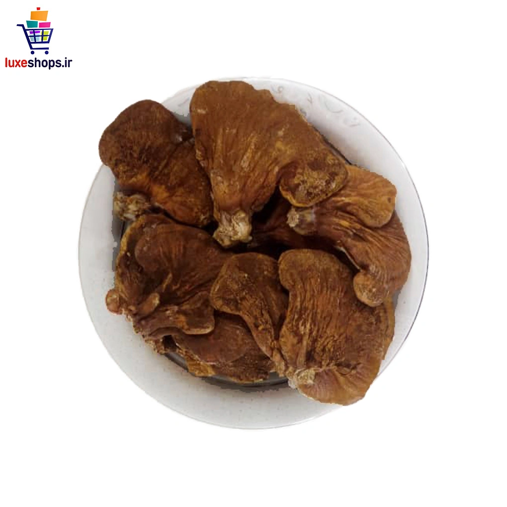 قارچ گانودرما بسته 100 گرمی