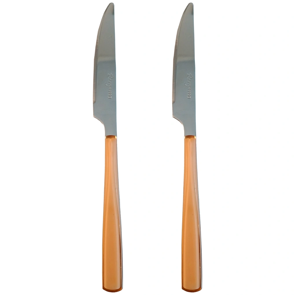 سرویس 12 پارچه کارد میوه خوری برگامو